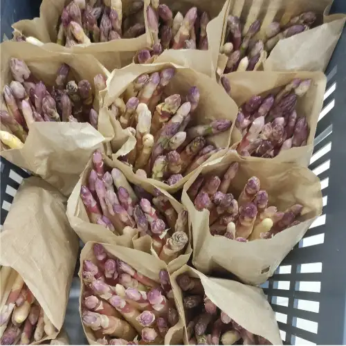 Asperges